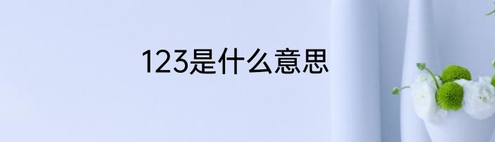 123是什么意思