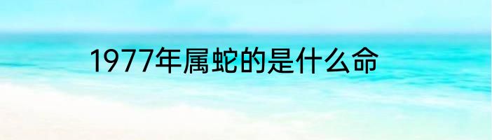 1977年属蛇的是什么命