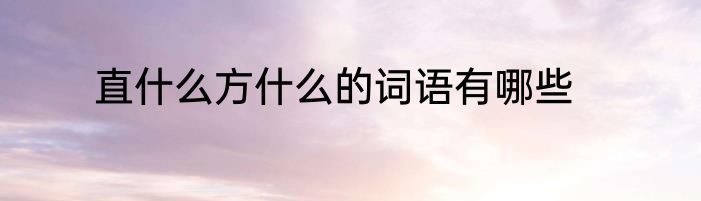 直什么方什么的词语有哪些