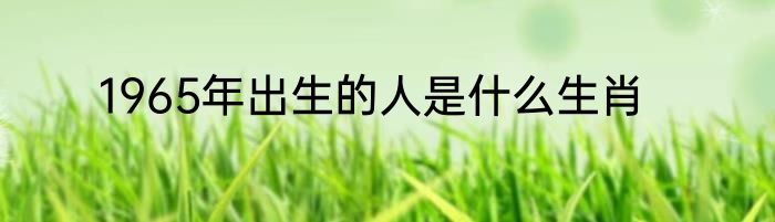 1965年出生的人是什么生肖