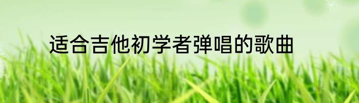 适合吉他初学者弹唱的歌曲