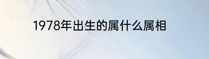 1978年出生的属什么属相