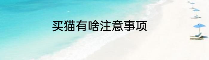 买猫有啥注意事项