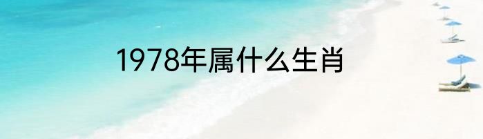 1978年属什么生肖