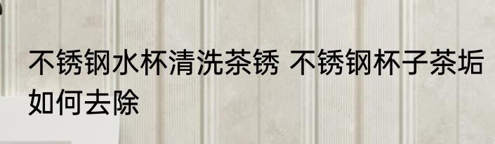 不锈钢水杯清洗茶锈 不锈钢杯子茶垢如何去除