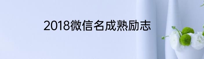 2018微信名成熟励志