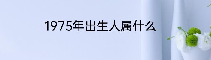 1975年出生人属什么