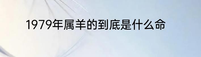 1979年属羊的到底是什么命