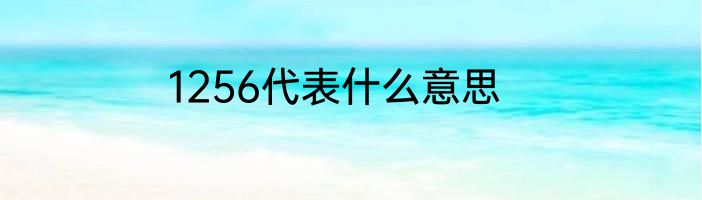 1256代表什么意思