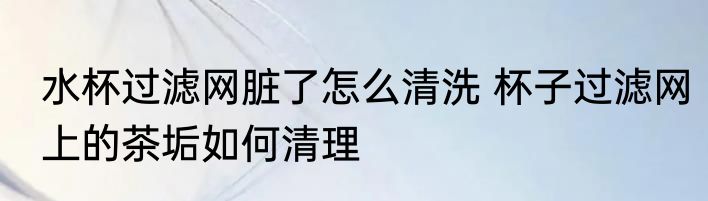 水杯过滤网脏了怎么清洗 杯子过滤网上的茶垢如何清理