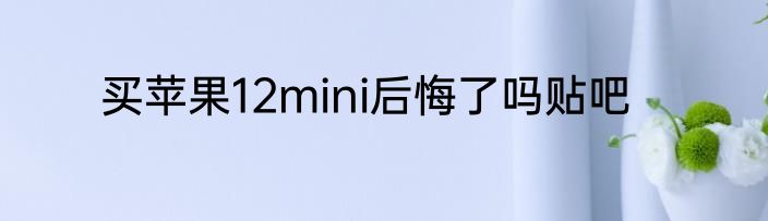 买苹果12mini后悔了吗贴吧