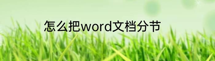 怎么把word文档分节