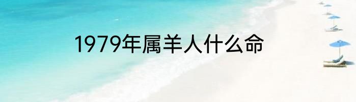 1979年属羊人什么命