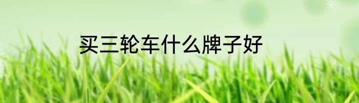 买三轮车什么牌子好