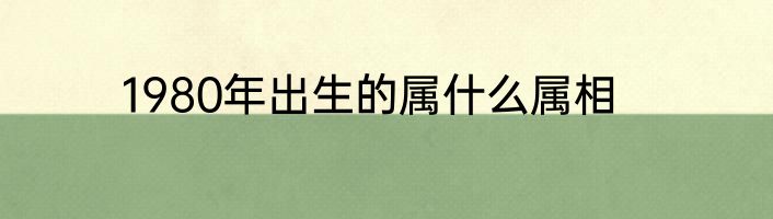1980年出生的属什么属相