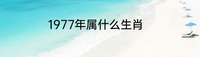 1977年属什么生肖