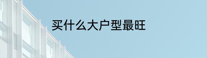 买什么大户型最旺
