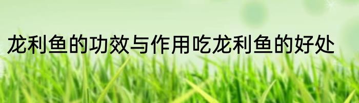 龙利鱼的功效与作用吃龙利鱼的好处