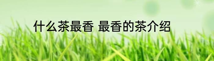 什么茶最香 最香的茶介绍
