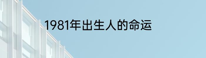 1981年出生人的命运
