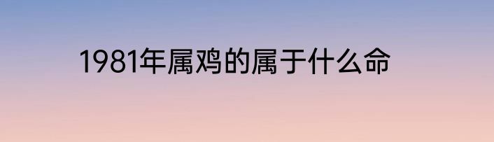 1981年属鸡的属于什么命