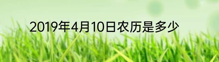 2019年4月10日农历是多少