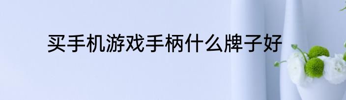 买手机游戏手柄什么牌子好