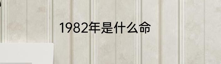 1982年是什么命