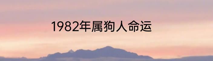1982年属狗人命运