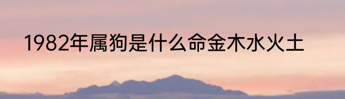 1982年属狗是什么命金木水火土