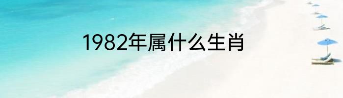 1982年属什么生肖