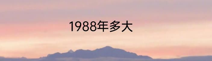 1988年多大