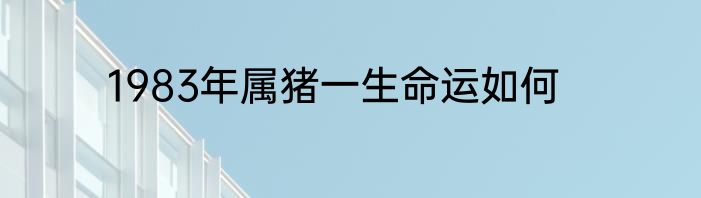 1983年属猪一生命运如何