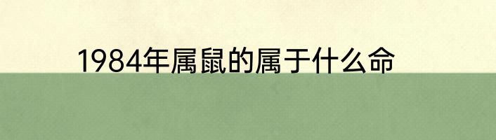 1984年属鼠的属于什么命