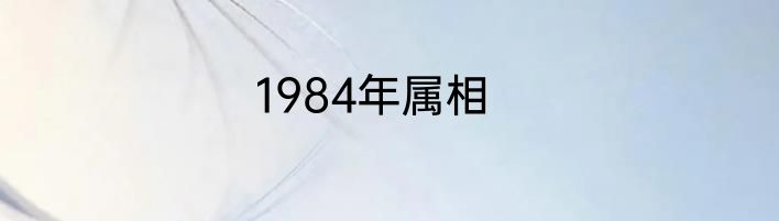 1984年属相