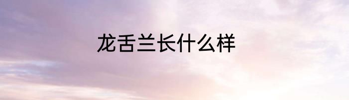 龙舌兰长什么样