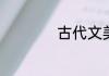 古代文美人弱受强攻