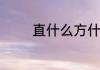 直什么方什么的词语有哪些