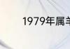 1979年属羊的到底是什么命