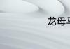 龙母马王第几集