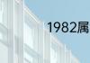 1982属狗的一生命运
