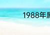 1988年属龙五行什么命