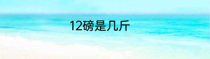 12磅是几斤