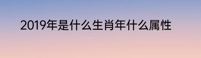 2019年是什么生肖年什么属性