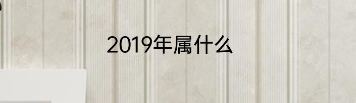 2019年属什么