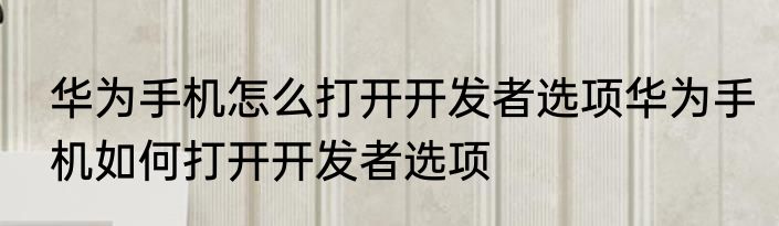 华为手机怎么打开开发者选项华为手机如何打开开发者选项