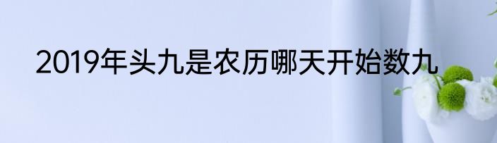 2019年头九是农历哪天开始数九