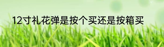 12寸礼花弹是按个买还是按箱买