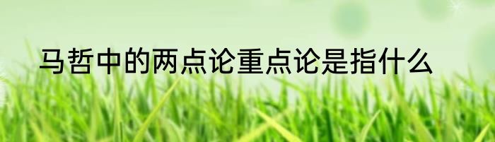 马哲中的两点论重点论是指什么