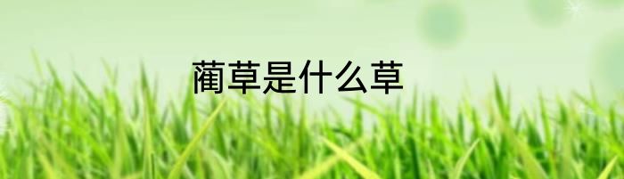 蔺草是什么草